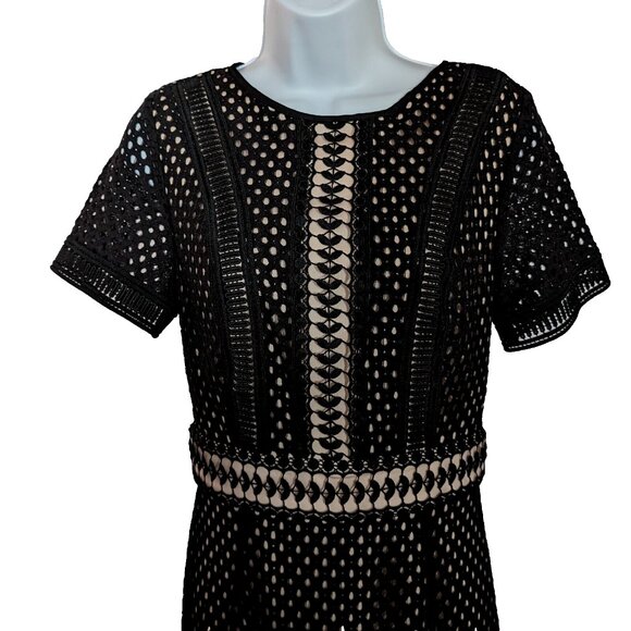 TRUE DECADENCE NWT Lace Ruffle Crochet PENCIL dress Size 10 or S - M SLIM FIT - Picture 6 of 17